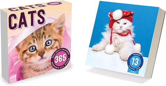 TF PUBLISHING 2025 Cat A Day Daily Desktop Calendar - Home and Office Organization - Over 300 Full-Color Easy Tear-Off Pages - Attached Fold-Out Cardboard Easel for Desks - 5.25” x 5.25”