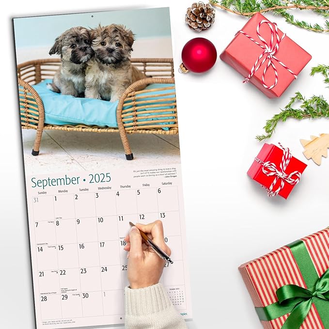 RED EMBER Shih Tzu Puppies 2025 Wall Calendar 12 Month | 12" x 24" Open | Thick & Sturdy Paper | Giftable | Calendar 2025