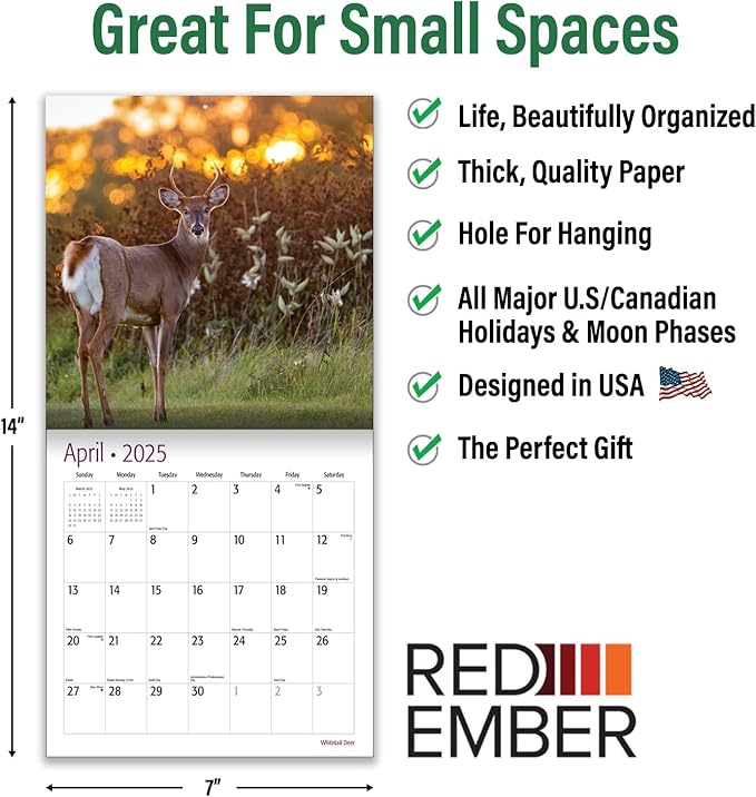 RED EMBER Whitetail Deer Mini 2025 Wall Calendar 12 Month | 7" x 14" Open | Thick & Sturdy Paper | Giftable | Calendar 2025