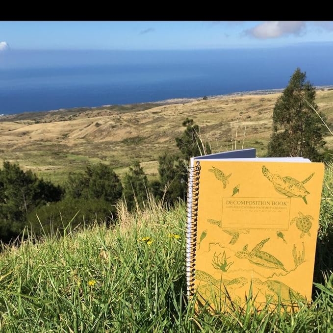 Decomposition Sea Turtles College Ruled Spiral Notebook - 9.75 x 7.5 Journal with 160 Lined Pages - 100% Recycled Paper - Cute Notebooks for School Supplies, Home & Office - Made in USA