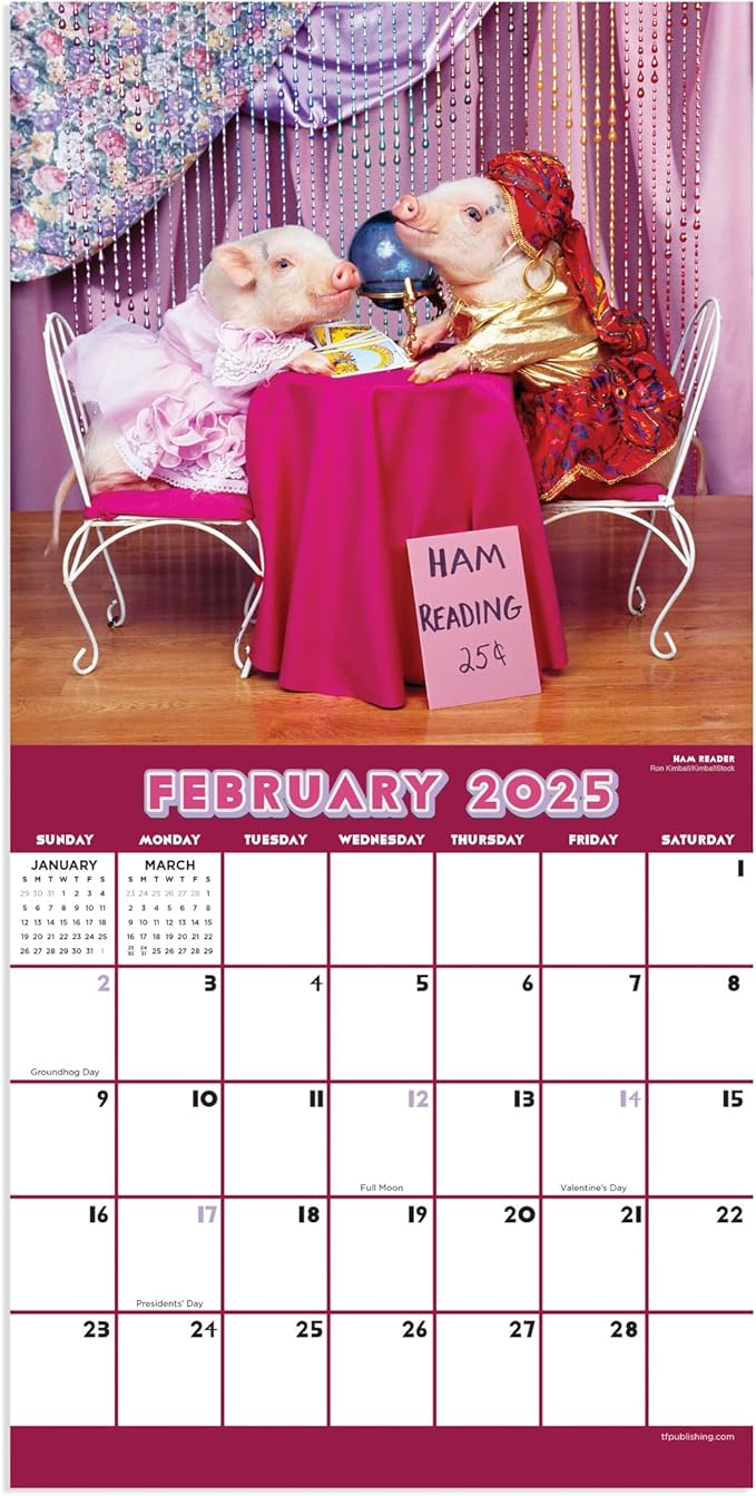 TF PUBLISHING 2025 Playful Pigs Mini Calendar Case of 90 - Large Grids for Appointments and Scheduling - Vertical Monthly Wall Calendar - Home and Office Organization - Premium Gloss Paper - 7"x7"