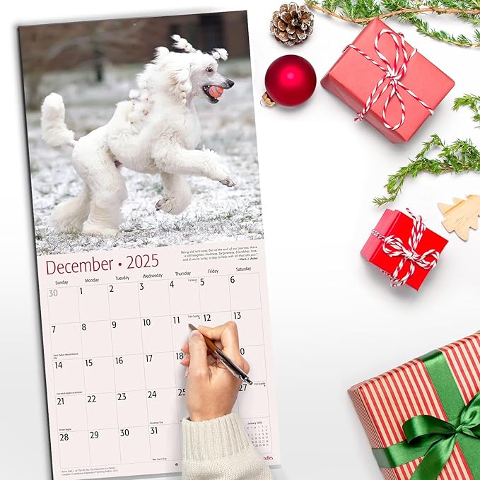 RED EMBER Poodles 2025 Wall Calendar 12 Month | 12" x 24" Open | Thick & Sturdy Paper | Giftable | Calendar 2025