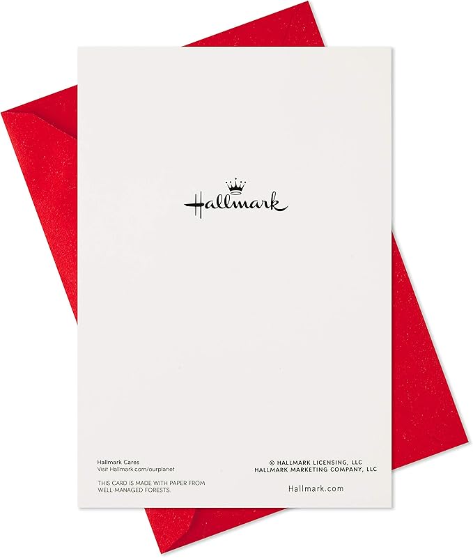 Hallmark Boxed Christmas Cards, Snowy Wreath (40 Cards and Envelopes)