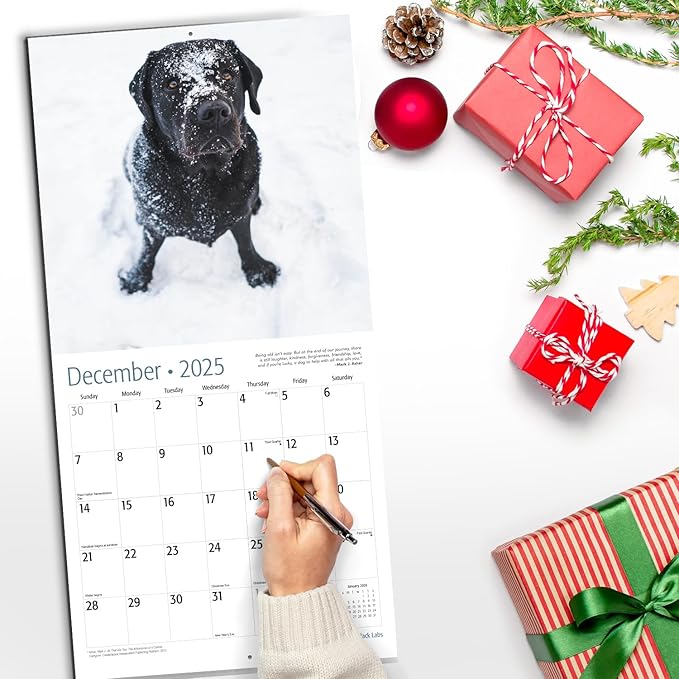 RED EMBER Black Labs 2025 Wall Calendar 12 Month | 12" x 24" Open | Thick & Sturdy Paper | Giftable | Calendar 2025