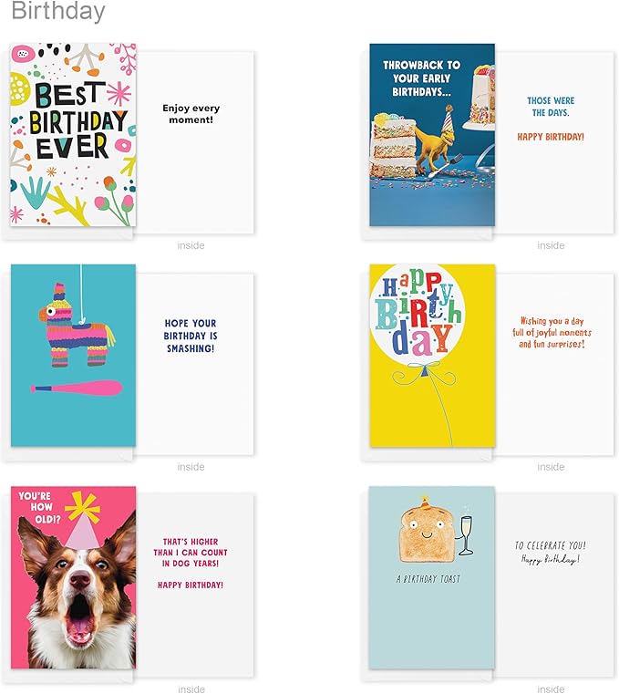 Recycled Paper Greetings 30-Count Funny Birthday Card Assortment with Envelopes, Seals, and Storage Box by Vicky Barone
