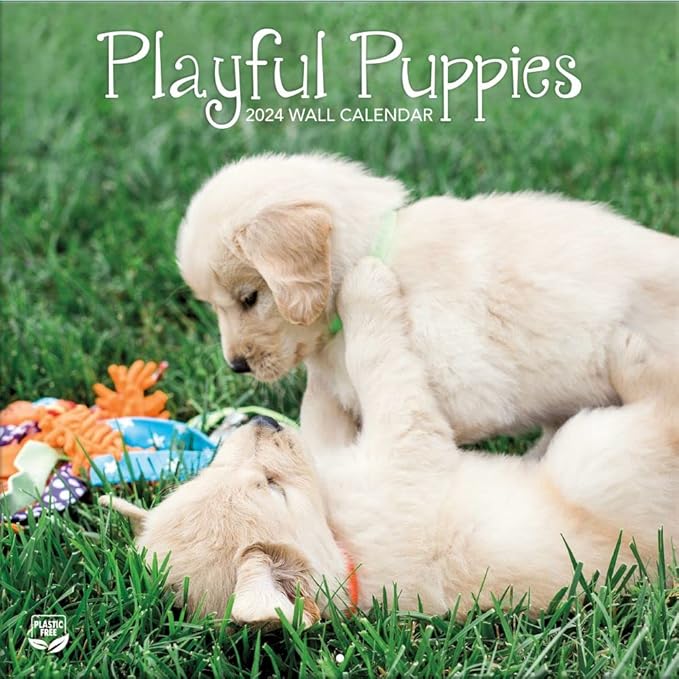 TURNER PHOTOGRAPHIC Playful Puppies 12X12 Photo Wall Calendar (24998940045)