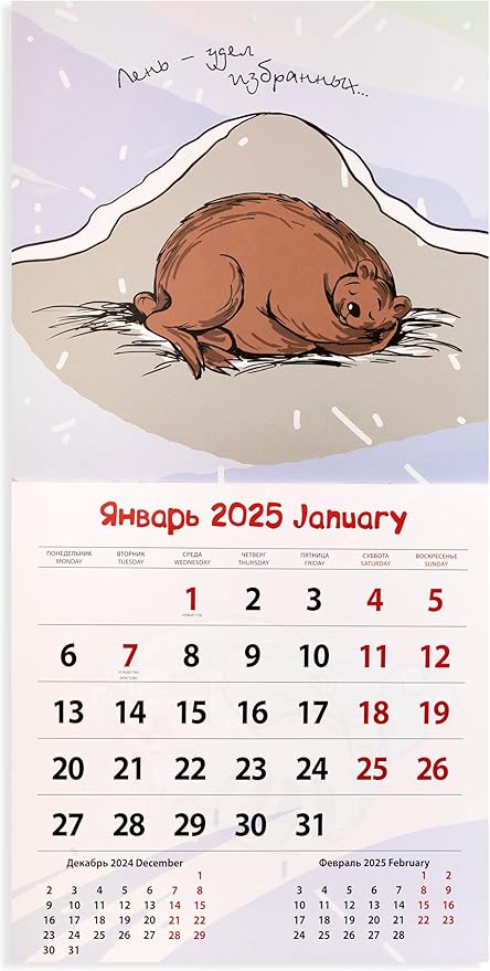 Wall calendar Lazy calendar for 2025, Size: 11.8 x 11.8 inches (Size: 23.6 x 11.8 inches if it is open) in the English and Russian languages.