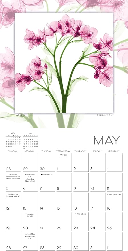 Flower Spirits 2024 Mini Calendar — Radiographs of Nature by Steven N. Meyers, 7" x 7"