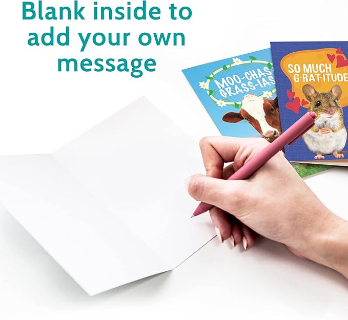 T MARIE 48 Funny Thank You Cards with Colorful Envelopes and Gold Stickers - Bulk 4x6” Boxed Set for Employee Appreciation Cards, Kids, Friends, Staff and Customers - Cute Animal Designs