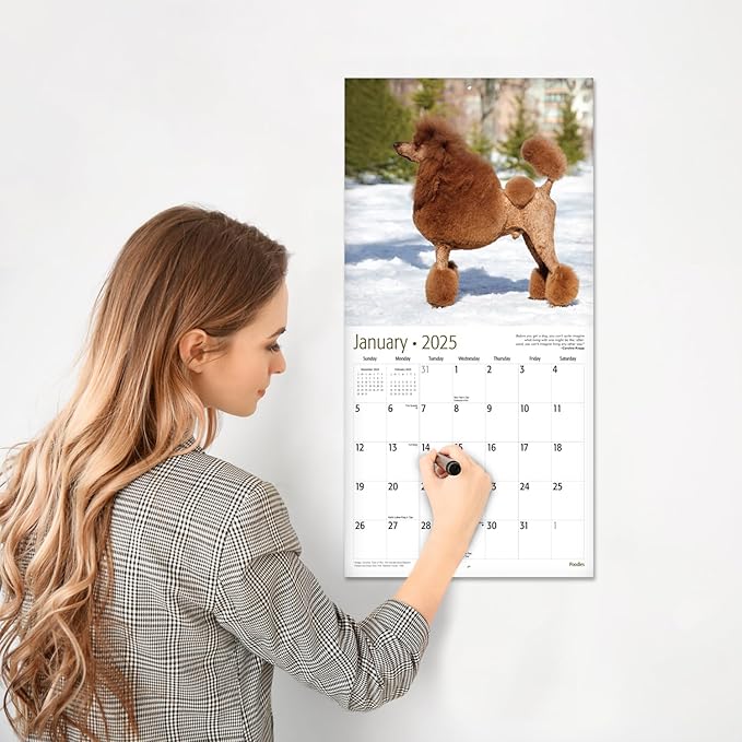 RED EMBER Poodles 2025 Wall Calendar 12 Month | 12" x 24" Open | Thick & Sturdy Paper | Giftable | Calendar 2025