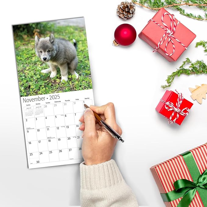 RED EMBER Dooty Calls Puppies Mini 2025 Wall Calendar 12 Month Funny Secret Dirty Santa White Elephant Yankee Swap | 7" x 14" Open | Thick & Sturdy Paper | Giftable | Calendar 2025