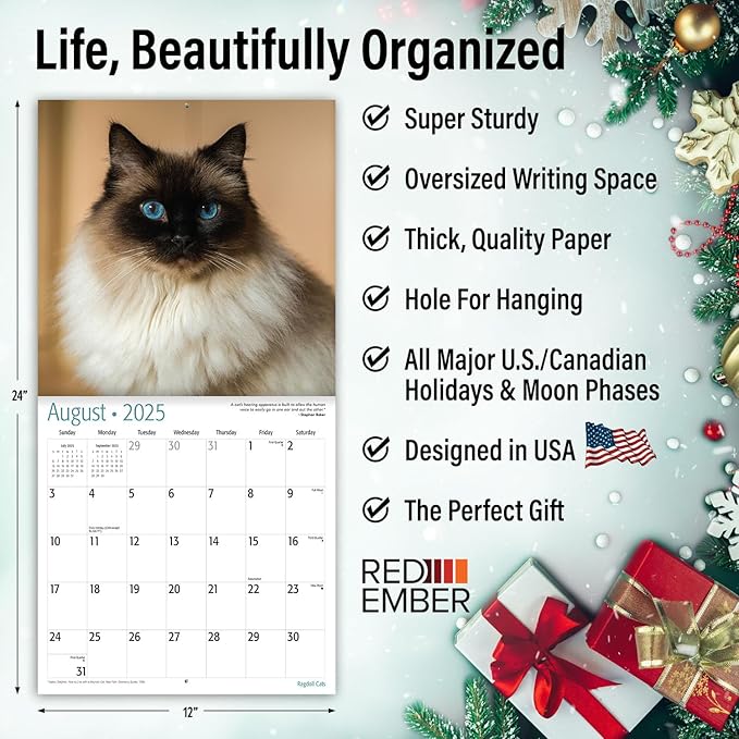 RED EMBER Ragdoll Cats 2025 Wall Calendar 12 Month | 12" x 24" Open | Thick & Sturdy Paper | Giftable | Calendar 2025