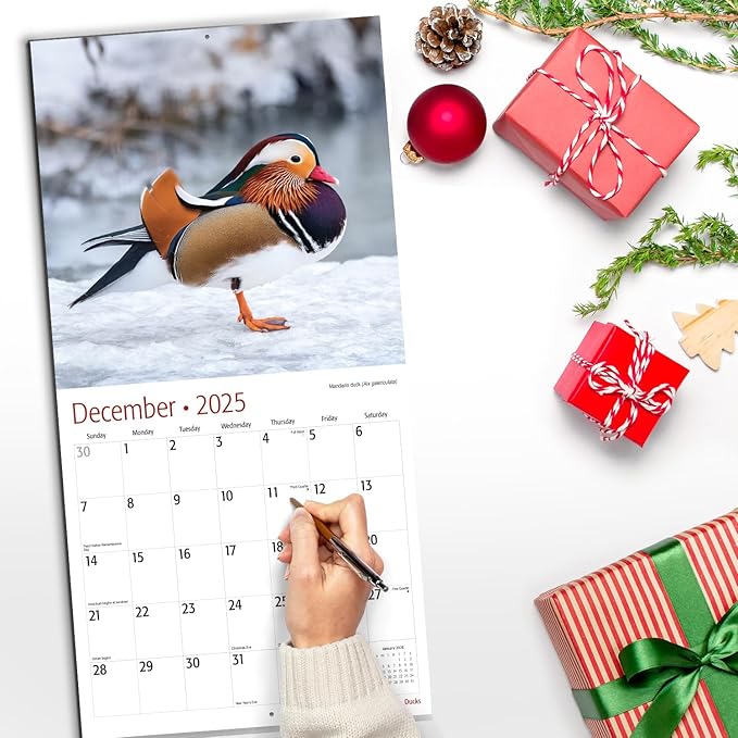 RED EMBER Ducks 2025 Wall Calendar 12 Month | 12" x 24" Open | Thick & Sturdy Paper | Giftable | Calendar 2025