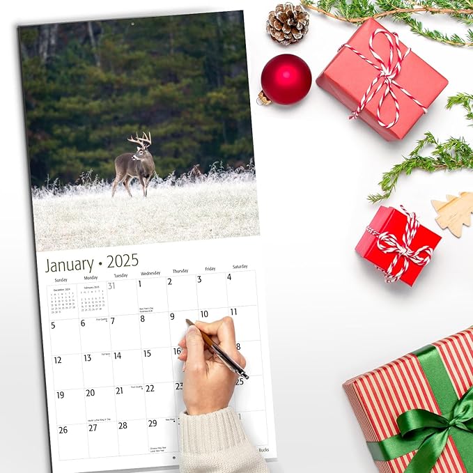 RED EMBER Select - Monster Bucks 2025 Wall Calendar 12 Month | 12" x 24" Open | Thick & Sturdy Paper | Giftable | Calendar 2025