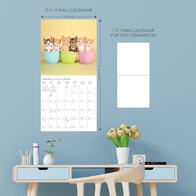Graphique 2025 Cute Kittens Wall Calendar | 12” x 12” | Thick Paper | Home & Office Organizer | Large Monthly Grid | 3 Languages & Marked Holidays | 4 Month Preview Page for 2026