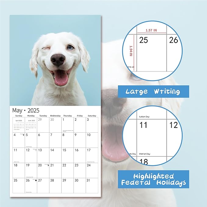 2025 Wall Calendar,Funny Calendar 2025, November 2024 - December 2025, Wall Calendar Funny Animal Memes, 12" x 24" Opened, Full Page 14 Months Thick Paper for Gift Calendar Organizing Planning