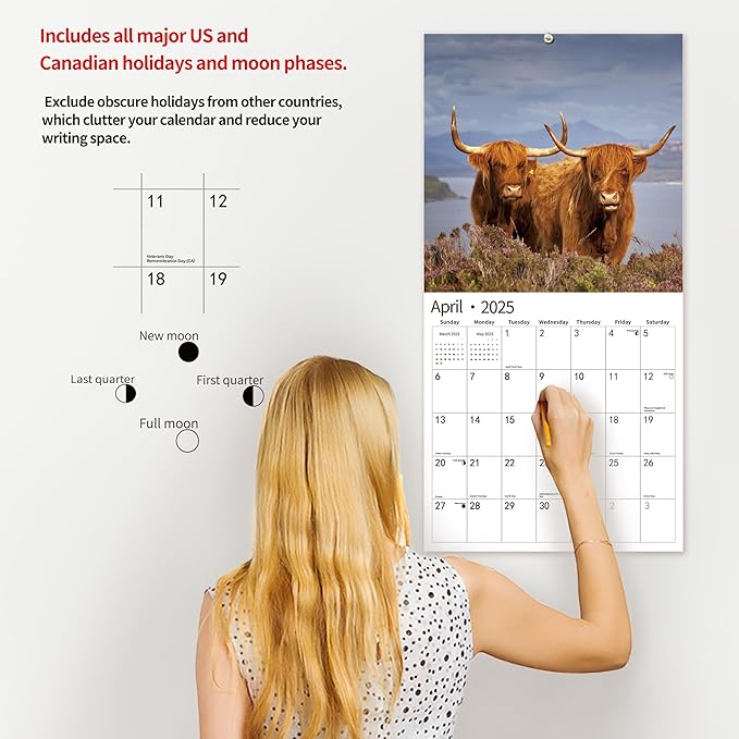 2025 Wall Calendar,Calendar 2025, November 2024 - December 2025, Wall Calendar Highland Cattle, 12" x 24" Opened,Full Page Months Thick & Sturdy Paper for Calendar Organizing & Planning