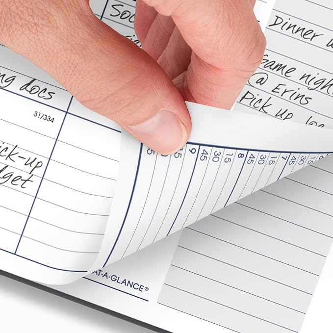 AT-A-GLANCE 2025 Appointment Book Planner, Weekly & Monthly, 8-1/2" x 11", Large, Quarter-Hourly, DayMinder, Gray (GC5200725)