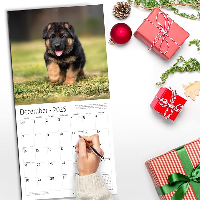 RED EMBER German Shepherd Puppies 2025 Wall Calendar 12 Month | 12" x 24" Open | Thick & Sturdy Paper | Giftable | Calendar 2025