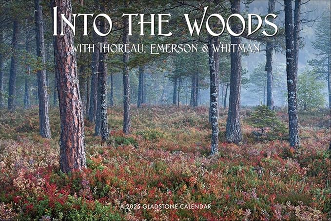 Into the Woods Deluxe Wall Calendar 2025