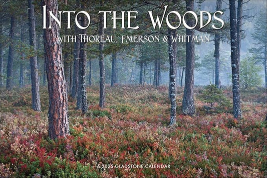 Into the Woods Deluxe Wall Calendar 2025