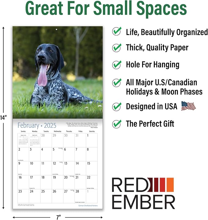 RED EMBER German Shorthaired Pointers Mini 2025 Wall Calendar 12 Month | 7" x 14" Open | Thick & Sturdy Paper | Giftable | Calendar 2025