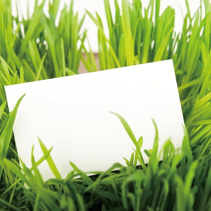 100 Sheets White Cardstock Thick Paper - Blank Heavy Weight 350gsm Cover Card Stock for Invitations,Stationery Printing,Scrapbooking,Crafts,DIY Cards, Paper Crafting (3x5 Inches)