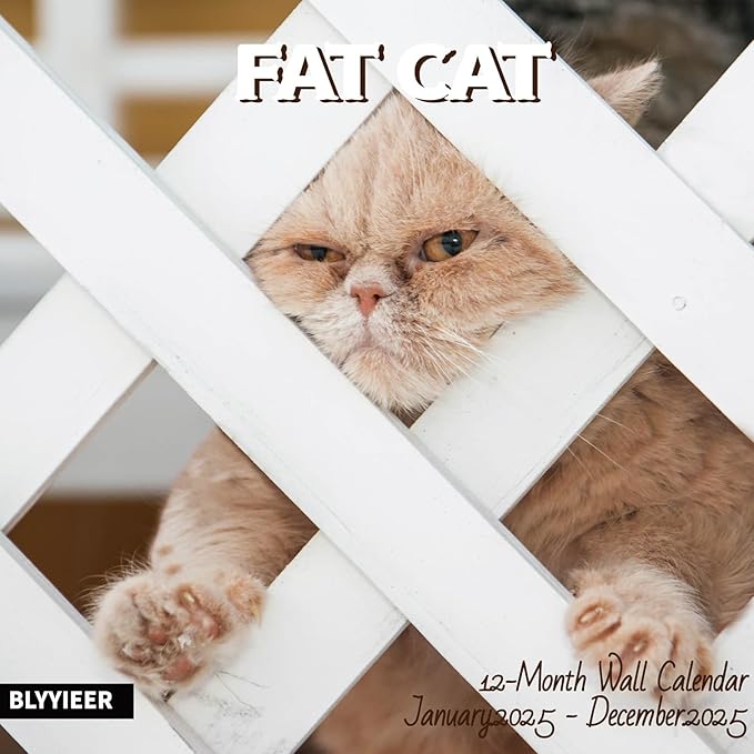 2025 Wall Calendar,Calendar 2025,Fat Cats Monthly Wall Calendar, 12" x 24" Open,Family Planner Calendar Organizer with funny fat cats Images, for Cats Lovers