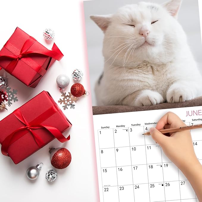 2025 Wall Calendar,Calendar 2025,Fat Cats Monthly Wall Calendar, 12" x 24" Open,Family Planner Calendar Organizer with funny fat cats Images, for Cats Lovers