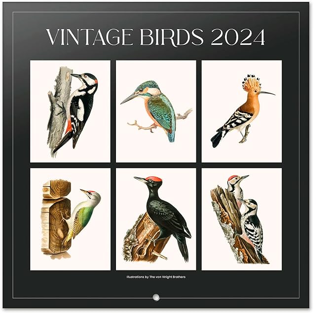 Wall Calendar 2024 12" x 12" FSC® Plastic Free - Starts Week On Sunday | Square Wall Calendar 2024 | Family Planner Calendar 2024 | 2024 Calendar (Birds 2024)