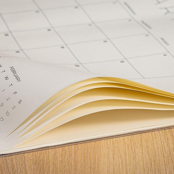Cabbrix Simplified Desk Calendar 2025-2026 with Desktop Mat, Large Desk Pad Calendar 21" x 16-1/2" Runs from Jan 2025 to Jun 2026, Monthly Desktop Calendar for Home School and Office (Transparent)