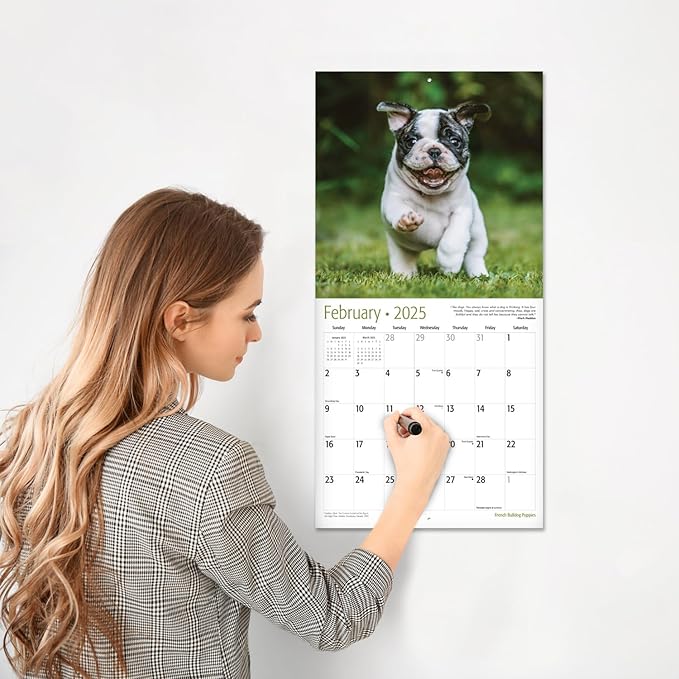 RED EMBER French Bulldog Puppies 2025 Wall Calendar 12 Month | 12" x 24" Open | Thick & Sturdy Paper | Giftable | Calendar 2025
