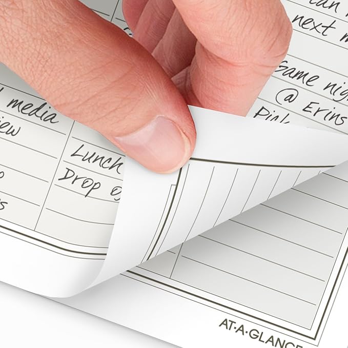 AT-A-GLANCE 2025 Planner, Daily & Monthly, 5-1/2" x 8-1/2", Desk Size, Two Page Per Day Refill, Loose-Leaf (481-225A-25)