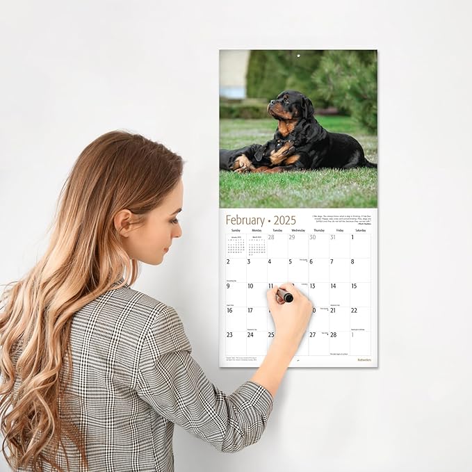 RED EMBER Rottweilers 2025 Wall Calendar 12 Month | 12" x 24" Open | Thick & Sturdy Paper | Giftable | Calendar 2025