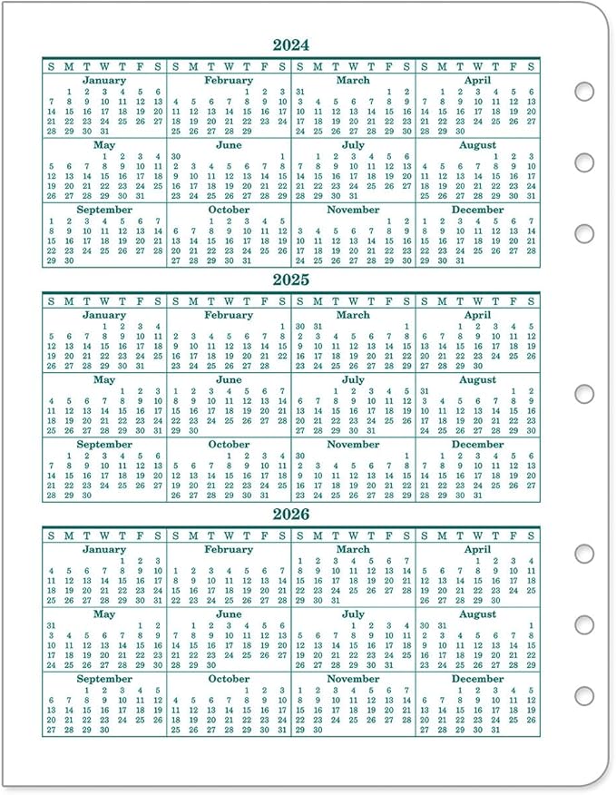 FranklinCovey - Original Two Page Per Day Ring-Bound Planner (Monarch, Jul 2024 - Jun 2025)