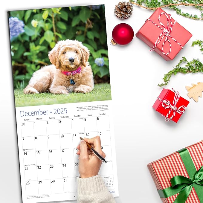 RED EMBER Goldendoodles 2025 Wall Calendar 12 Month | 12" x 24" Open | Thick & Sturdy Paper | Giftable | Calendar 2025