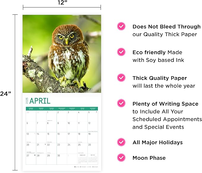 2025 Owls Monthly Wall Calendar by Bright Day, Includes Over 300 Stickers, 12 x 12 Inch
