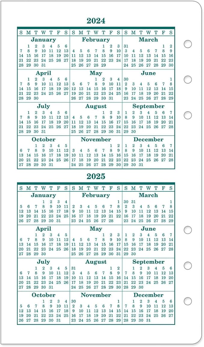 FranklinCovey - Original Two Page Per Day Ring-Bound Planner (Pocket, Jul 2024 - Jun 2025)