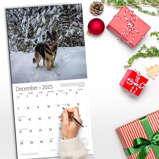 RED EMBER German Shepherds 2025 Wall Calendar 12 Month | 12" x 24" Open | Thick & Sturdy Paper | Giftable | Calendar 2025