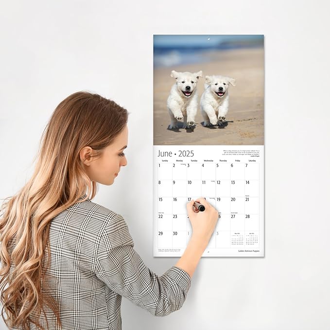 RED EMBER Golden Retriever Puppies 2025 Wall Calendar 12 Month | 12" x 24" Open | Thick & Sturdy Paper | Giftable | Calendar 2025