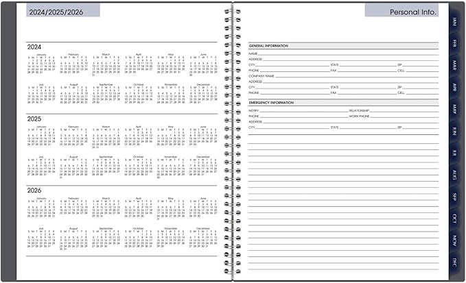 AT-A-GLANCE 2025 Appointment Book Planner, Weekly & Monthly, 8-1/2" x 11", Large, Quarter-Hourly, DayMinder, Gray (GC5200725)