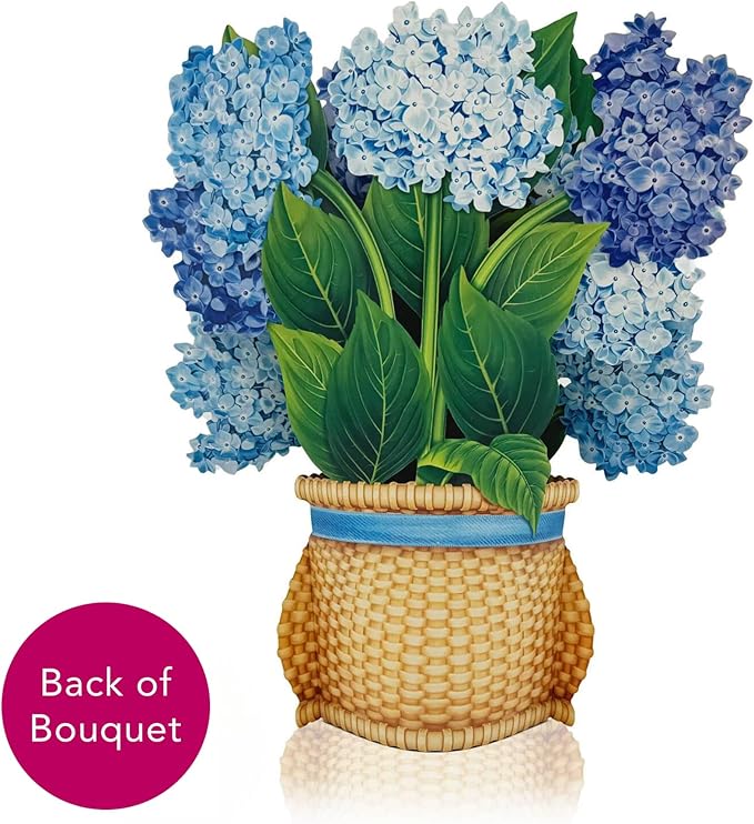 Freshcut Paper Pop Up Cards, Nantucket Hydrangeas, 12 Inch Life Sized Forever Flower Bouquet 3D Popup Greeting Card, Birthday Cards, Thank You Card, Blank Notecard & Envelope