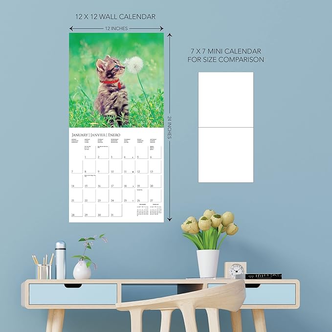 Graphique 2024 Cute Kittens Wall Calendar | 12” x 12” | Thick Paper | Home & Office Organizer | Large Monthly Grid | 3 Languages & Marked Holidays | 4 Month Preview Page for 2025