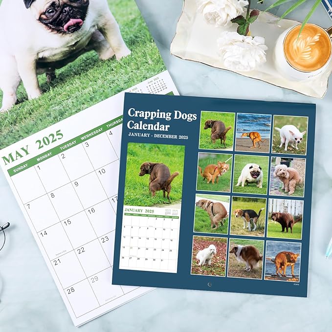 Gag Gifts - Pooping Dogs Calendar, 2025 Wall Calendar from January 2025 to December 2025, Funny Dogs Calendar, Funny Gag Gifts for Family, Friends, 11.8'' x 11.8''