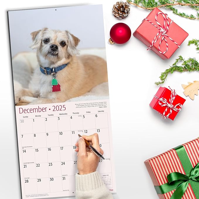 RED EMBER "Cute" Dogs 2025 Wall Calendar 12 Month | 12" x 24" Open | Thick & Sturdy Paper | Giftable | Calendar 2025