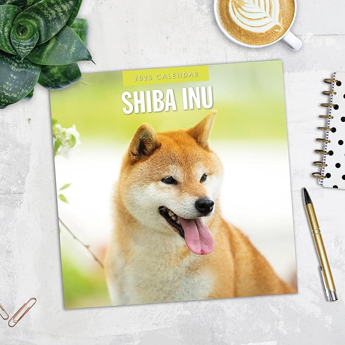Red Robin 2025 Shiba Inu Monthly Wall Calendar | 12" x 24" Open | Premium Thick & Sturdy Paper | Hangable 12 Month Calendar | Plastic Free | 4 Month Transition Page for 2024