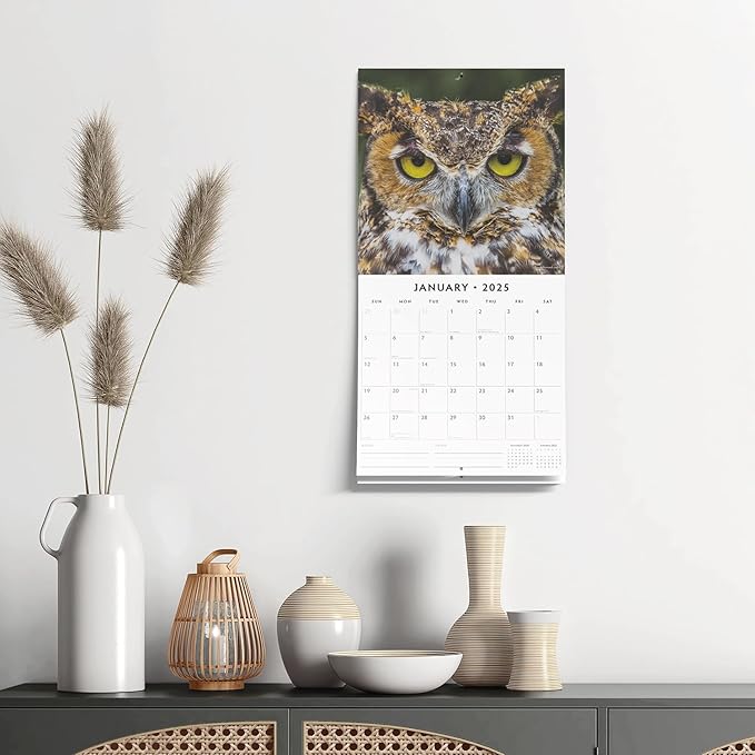 Red Robin 2025 Owls Monthly Wall Calendar | 12" x 24" Open | Premium Thick & Sturdy Paper | Hangable 12 Month Calendar | Plastic Free | 4 Month Transition Page for 2024