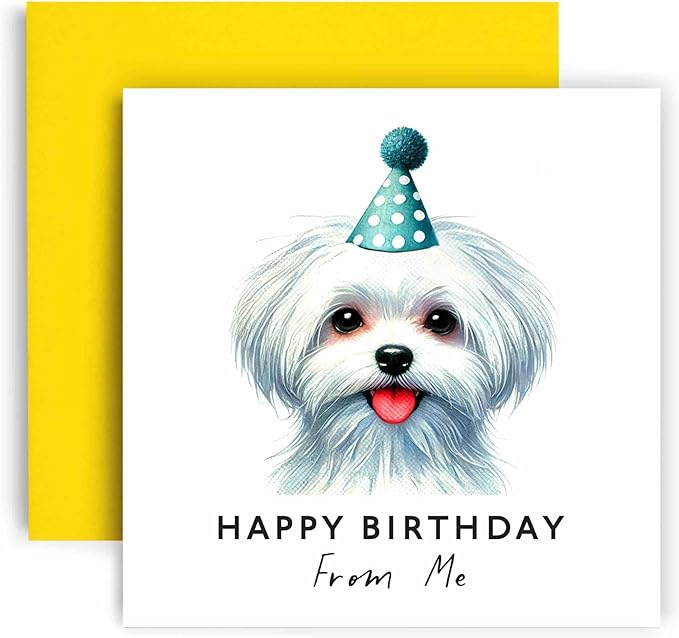 Huxters Birthday Card from the Dog – Maltese - Happy Birthday to Dog Mum and Dog Dad – Birthday Card from the Dog to Friends Family First Birthday (Maltese)
