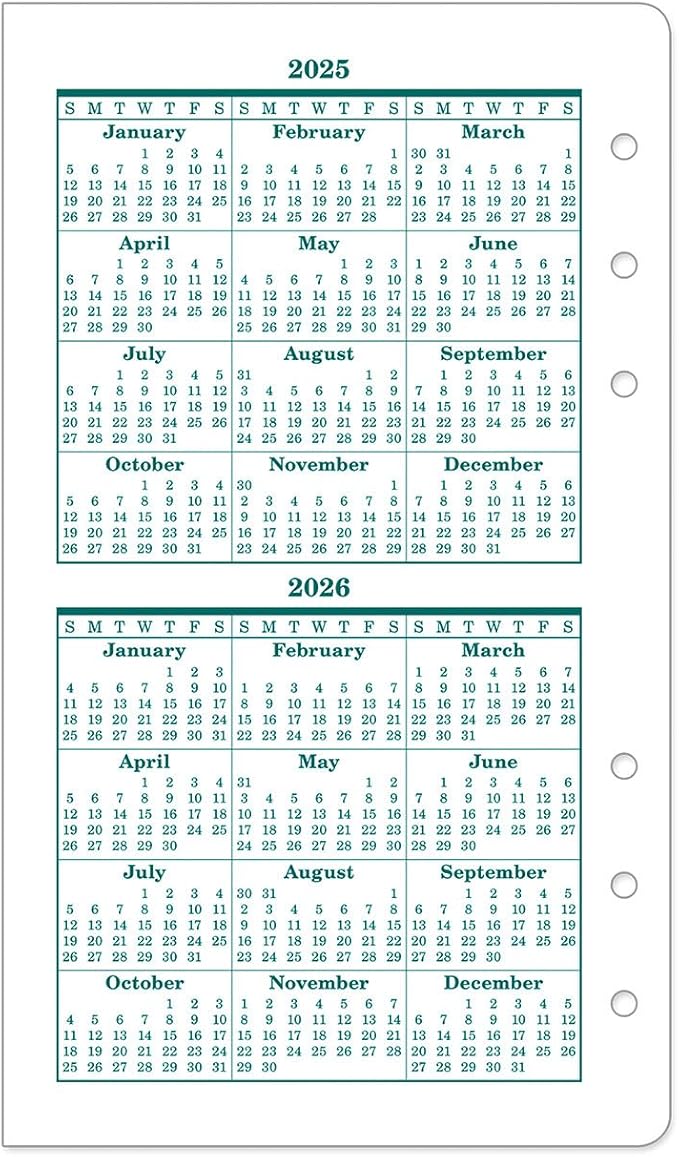 FranklinCovey - Original Two Page Per Day Ring-Bound Planner (Pocket, Apr 2025 - Mar 2026)
