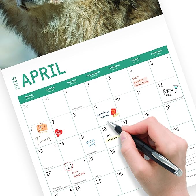 2025 Wolves Monthly Wall Calendar by Bright Day, Includes Over 300 Stickers, 12 x 12 Inch